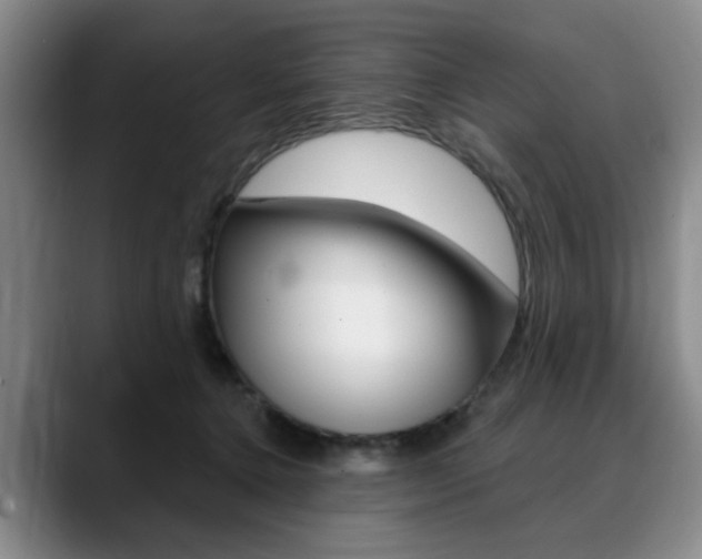 X0000090730368200707200959