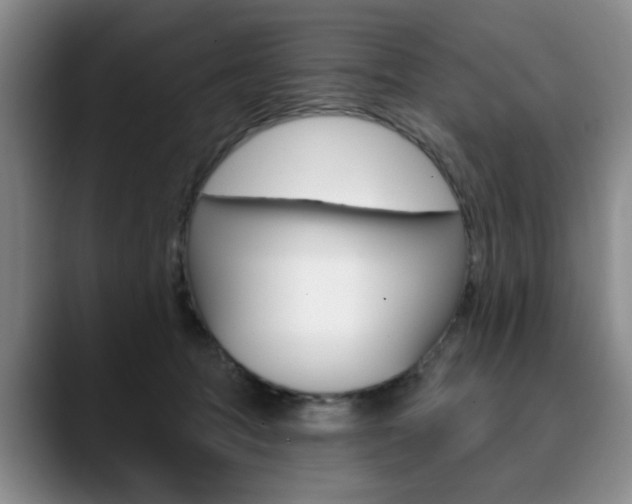 X0000090730369200707200959