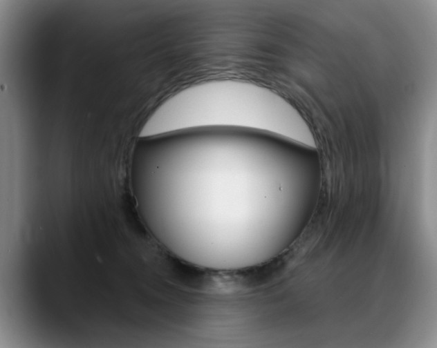 X0000090730372200707200959