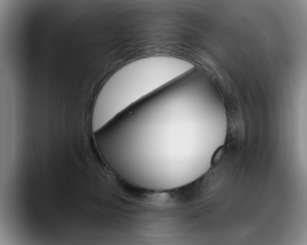 X0000090730374200707200959