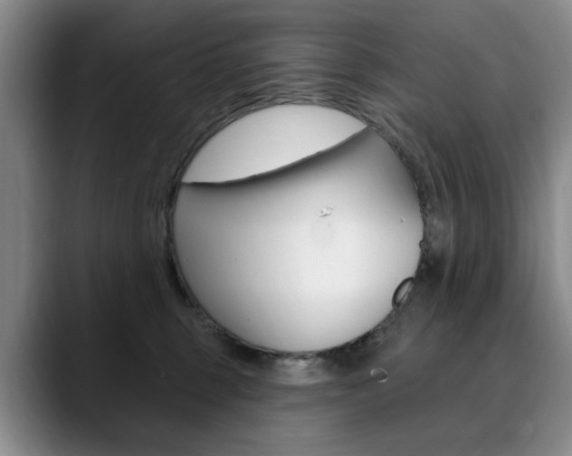 X0000090730375200707200959