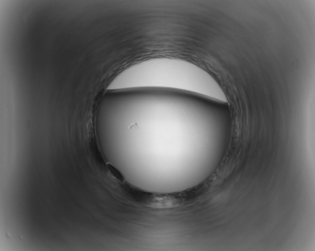 X0000090730376200707200959