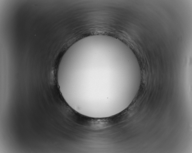 X0000090730378200707200959