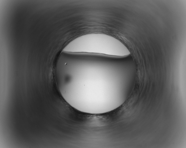 X0000090730379200707200959