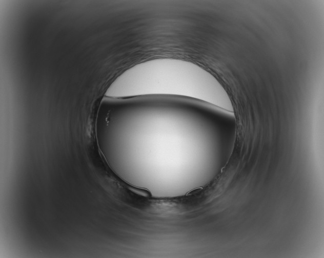 X0000090730380200707200959