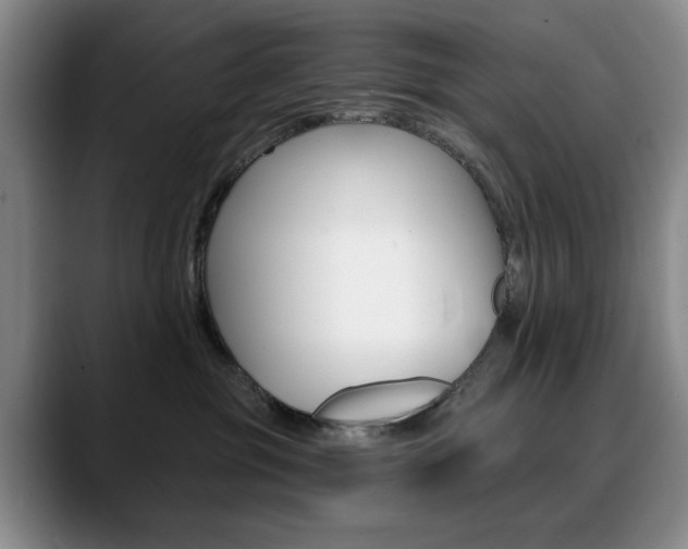 X0000090730381200707200959