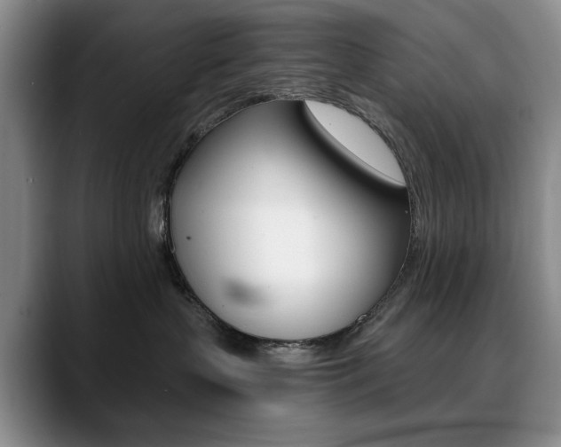 X0000090730383200707201000