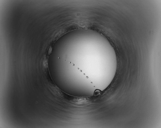 X0000090730384200707201000