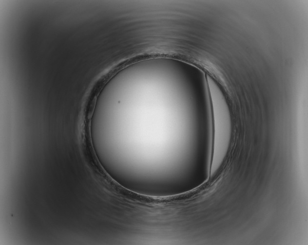 X0000090730388200707200959