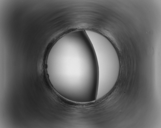 X0000090730392200707200959