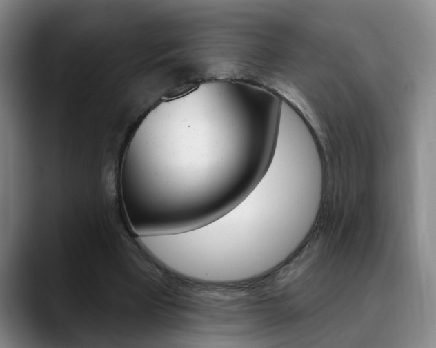 X0000090730393200707200959