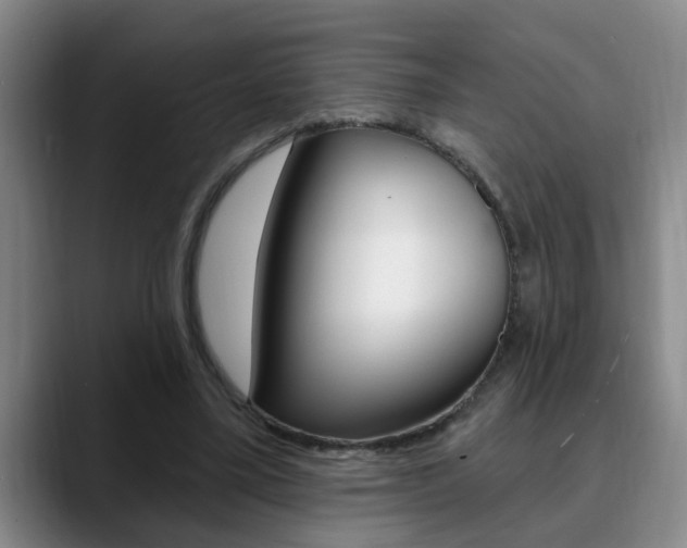 X0000090730395200707200959