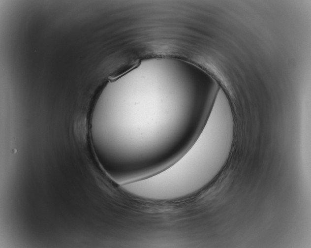 X0000090730397200707200959