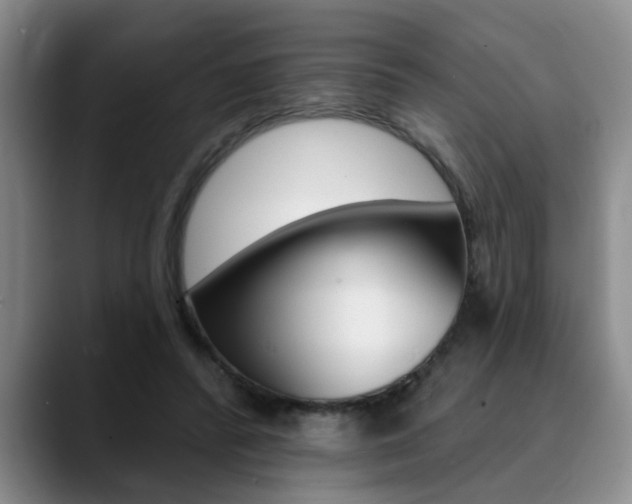 X0000090730400200707200959
