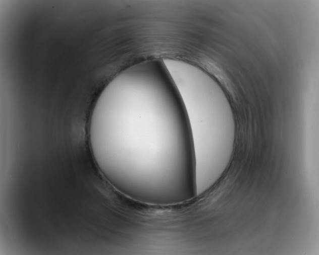 X0000090730401200707200959
