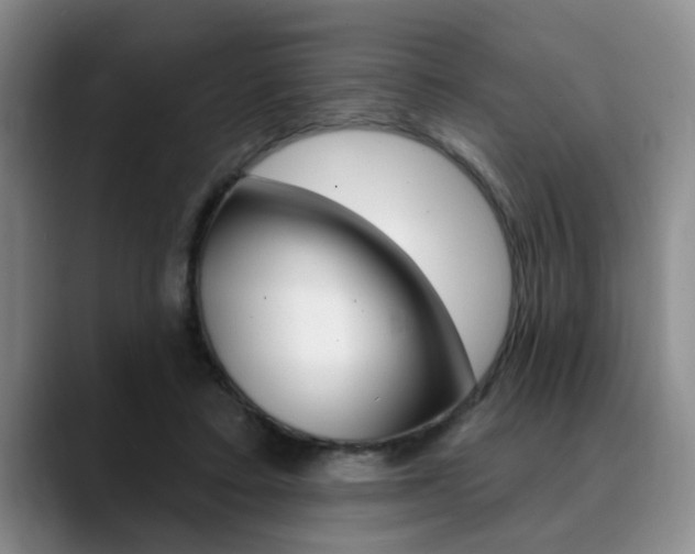 X0000090730403200707200959