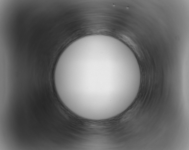 X0000090730405200707200959