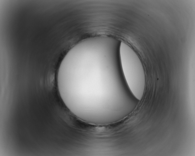 X0000090730406200707200959