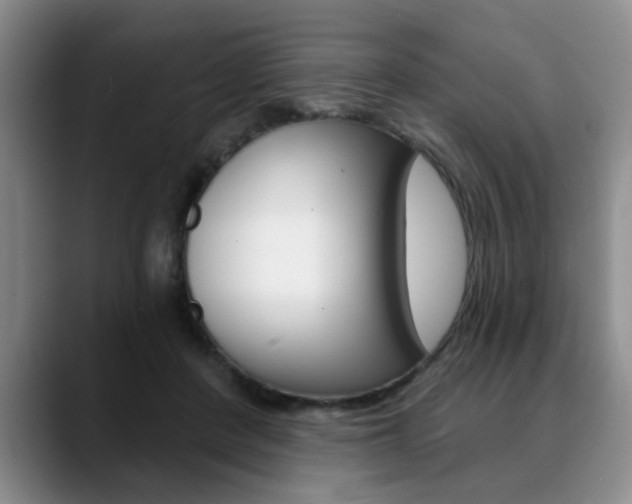 X0000090730408200707200959