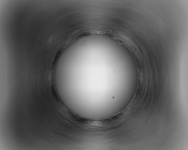 X0000090730409200707200959