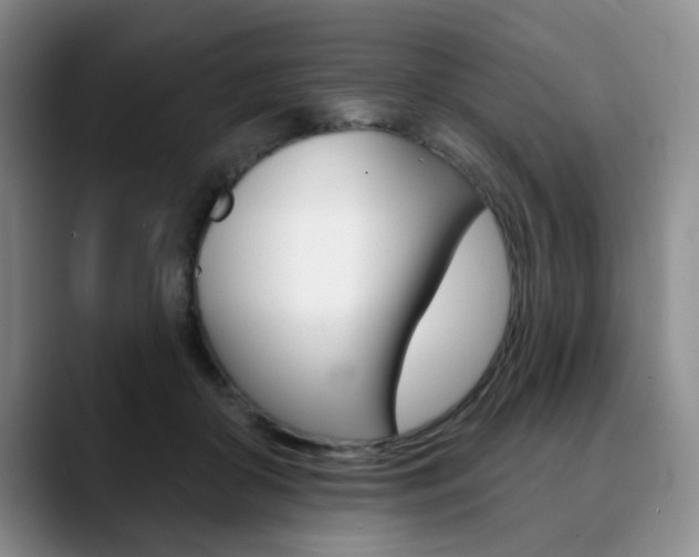 X0000090730410200707200959