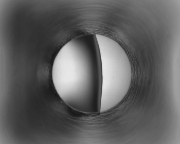 X0000090730412200707200959