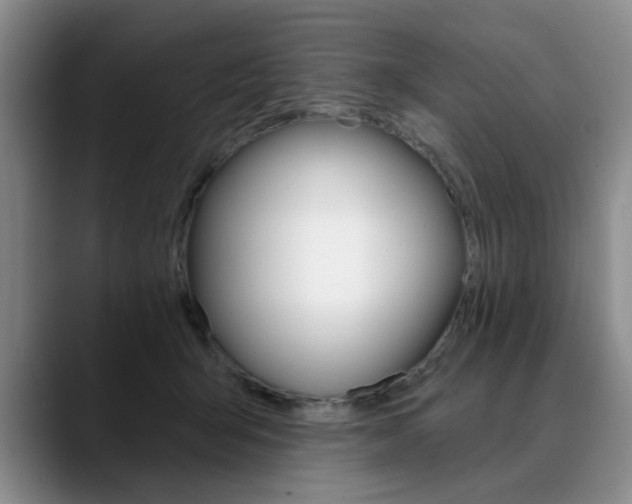 X0000090730415200707200959