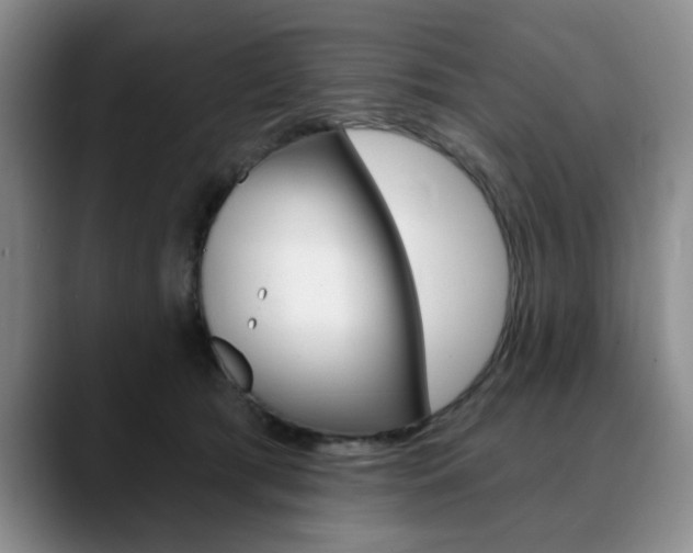 X0000090730417200707200959