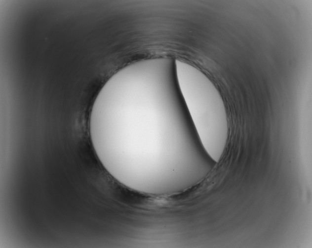 X0000090730418200707200959