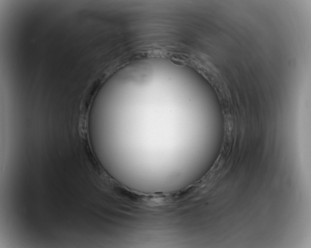 X0000090730419200707200959