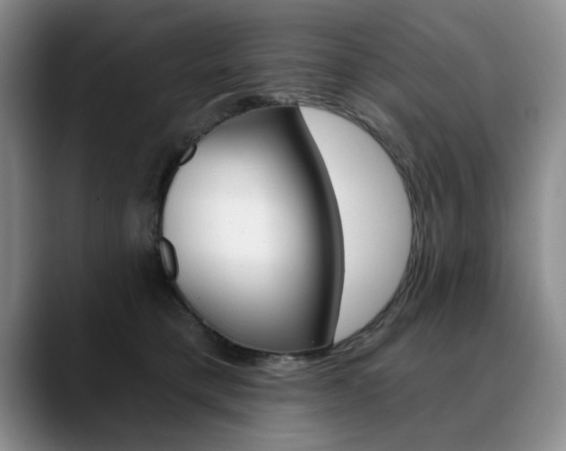 X0000090730421200707200959