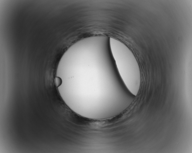 X0000090730422200707200959