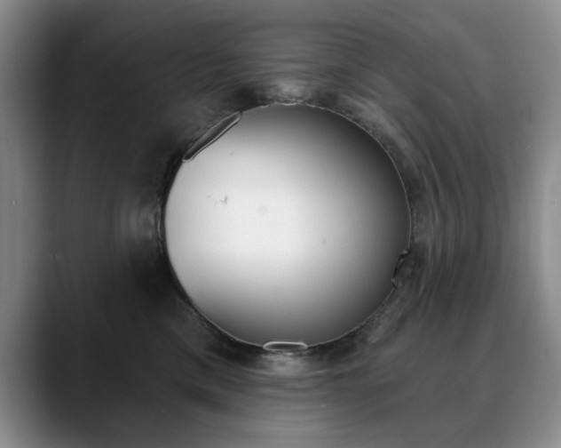 X0000090730425200707200958