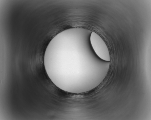 X0000090730426200707200958