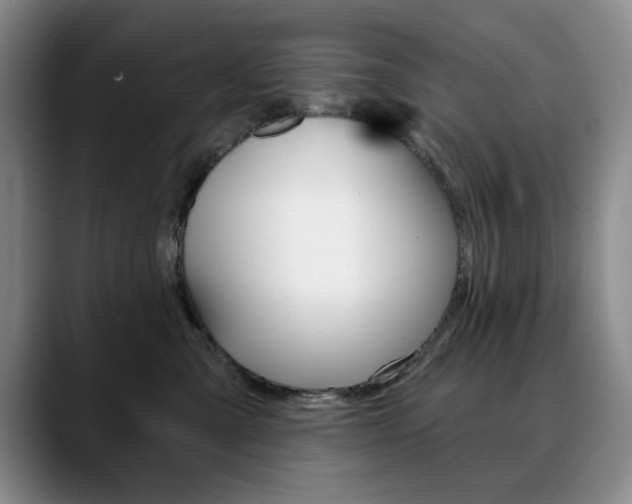 X0000090730427200707200958