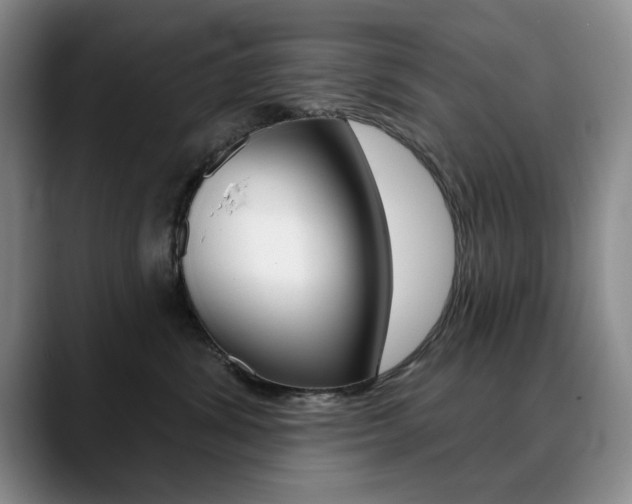 X0000090730428200707200958
