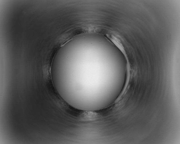 X0000090730429200707200958