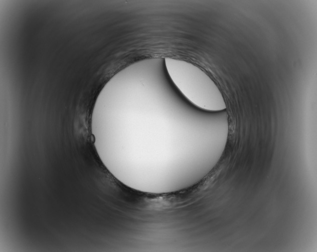X0000090730430200707200958