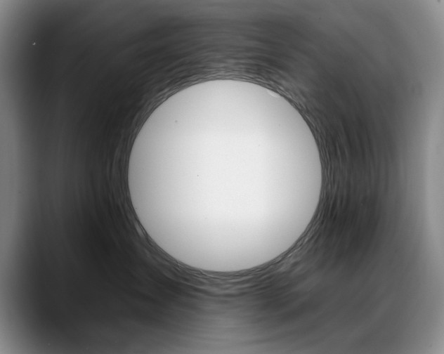 X0000090730431200707200958