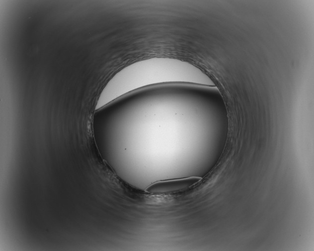 X0000090730432200707200958