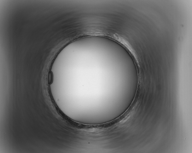 X0000090730433200707200958