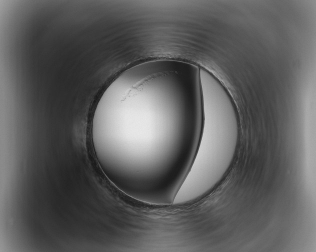 X0000090730434200707200958