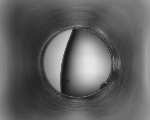 X0000090730435200707200958
