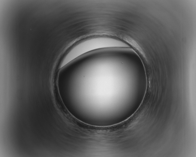 X0000090730436200707200958