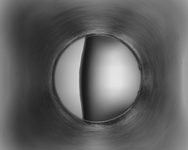 X0000090730437200707200958