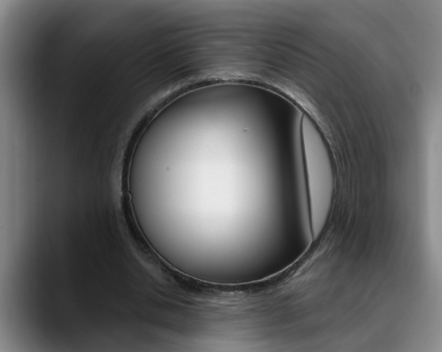 X0000090730438200707200958