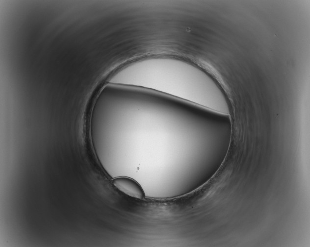 X0000090730439200707200958