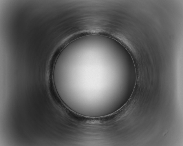 X0000090730440200707200958