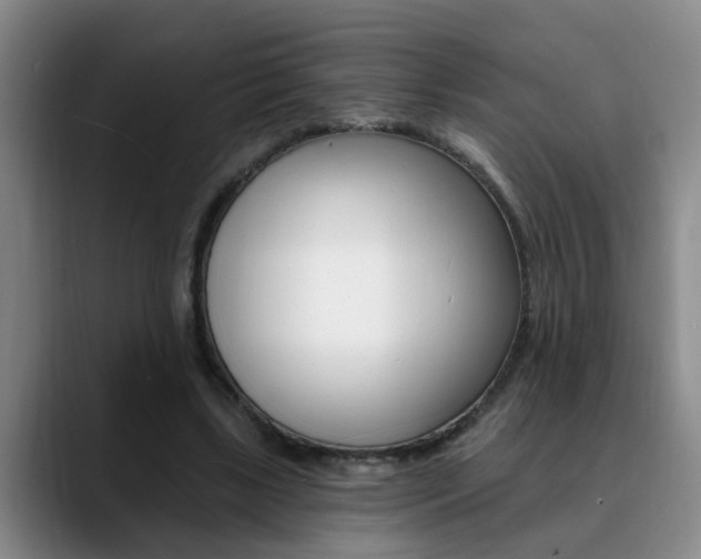 X0000090730443200707200958