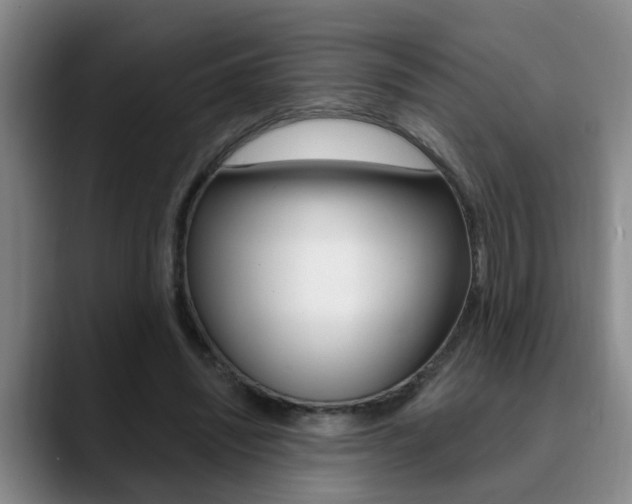 X0000090730444200707200958